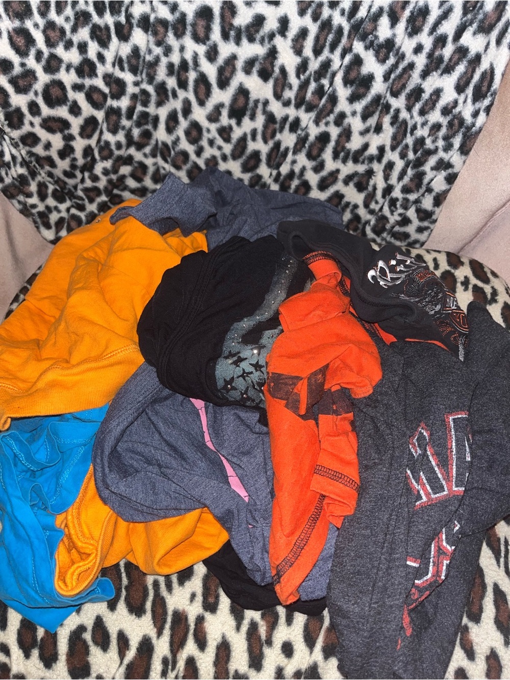 Harley Davidson Top Bundle